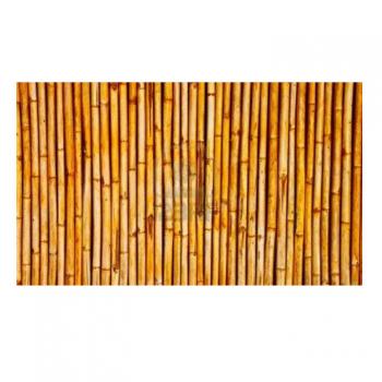 Sichtschutz Bambus